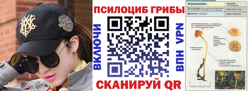 Псилоцибиновые грибы ЛСД  darknet какой сайт  Казань 
